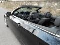 2009 Jet Black BMW 3 Series 335i Convertible  photo #39