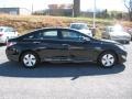 Black Onyx Pearl - Sonata Hybrid Photo No. 5