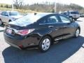 Black Onyx Pearl - Sonata Hybrid Photo No. 6