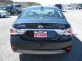 Black Onyx Pearl - Sonata Hybrid Photo No. 7