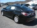 Black Onyx Pearl - Sonata Hybrid Photo No. 8