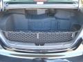 Black Onyx Pearl - Sonata Hybrid Photo No. 11