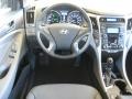 Black Onyx Pearl - Sonata Hybrid Photo No. 22