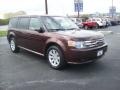 Cinnamon Metallic 2009 Ford Flex SE