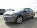 Platinum Gray Metallic - Passat V6 SEL Photo No. 1