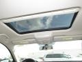 Platinum Gray Metallic - Passat V6 SEL Photo No. 6
