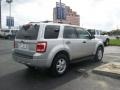 2009 Brilliant Silver Metallic Ford Escape XLT V6  photo #3