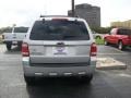 2009 Brilliant Silver Metallic Ford Escape XLT V6  photo #4