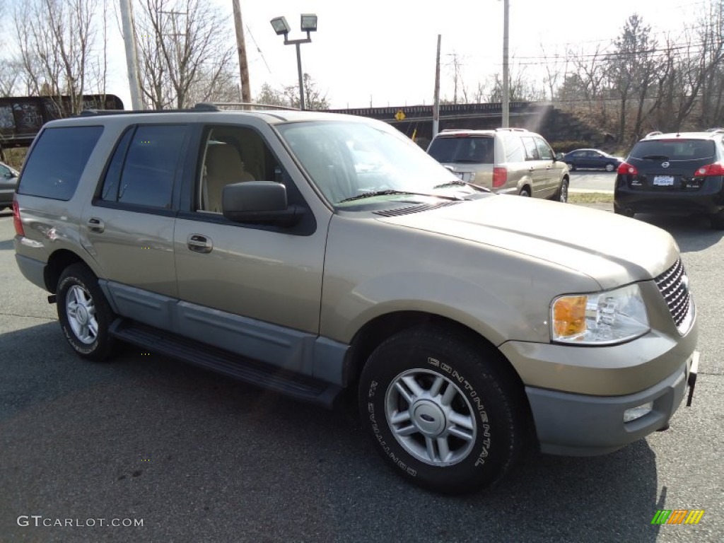 2003 Expedition XLT 4x4 - Arizona Beige Metallic / Medium Parchment photo #3
