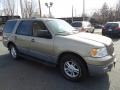 2003 Arizona Beige Metallic Ford Expedition XLT 4x4  photo #3