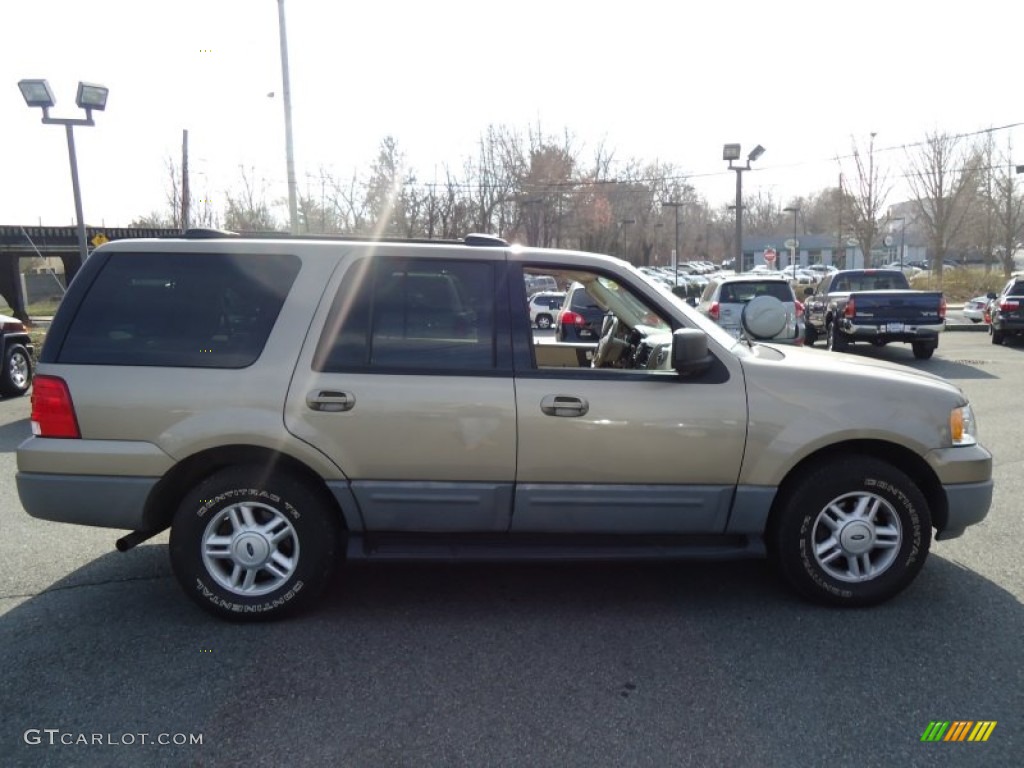 2003 Expedition XLT 4x4 - Arizona Beige Metallic / Medium Parchment photo #4