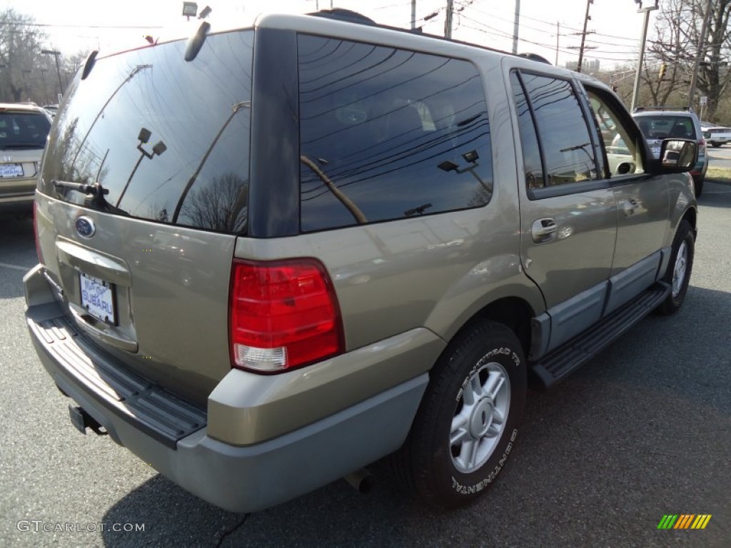 2003 Expedition XLT 4x4 - Arizona Beige Metallic / Medium Parchment photo #5