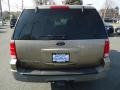 2003 Arizona Beige Metallic Ford Expedition XLT 4x4  photo #6
