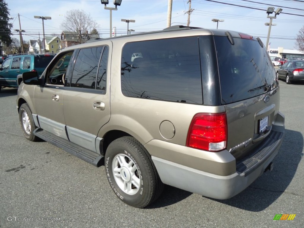 2003 Expedition XLT 4x4 - Arizona Beige Metallic / Medium Parchment photo #7