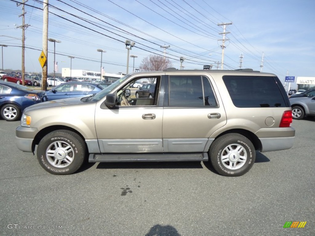2003 Expedition XLT 4x4 - Arizona Beige Metallic / Medium Parchment photo #8