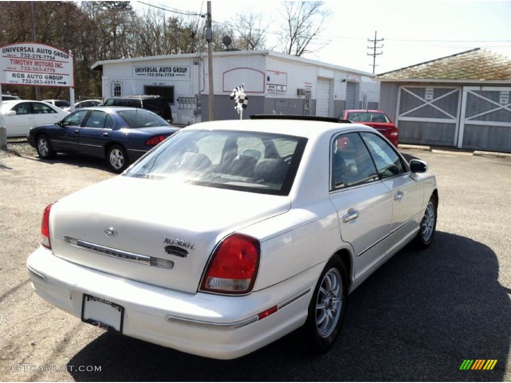 2001 XG300 L Sedan - Nordic White / Black photo #7