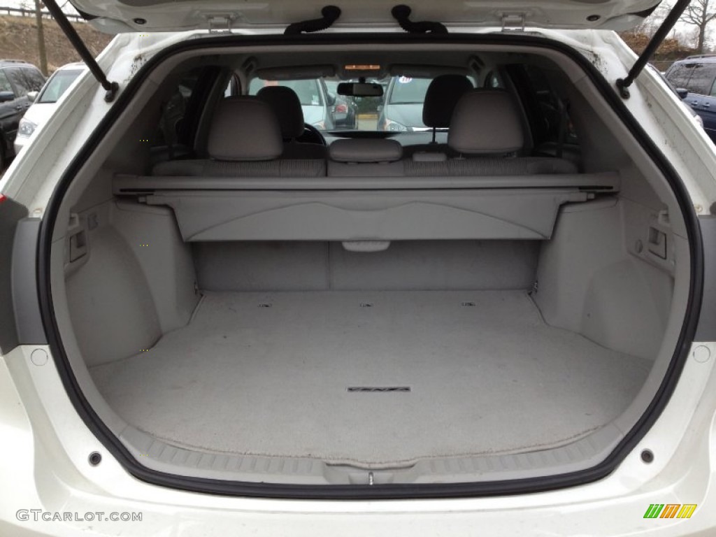 2009 Toyota Venza V6 Trunk Photo #62400900