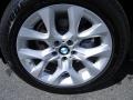 Platinum Bronze Metallic - X5 xDrive35i Premium Photo No. 9