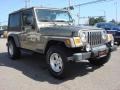 2005 Light Khaki Metallic Jeep Wrangler Unlimited 4x4  photo #9