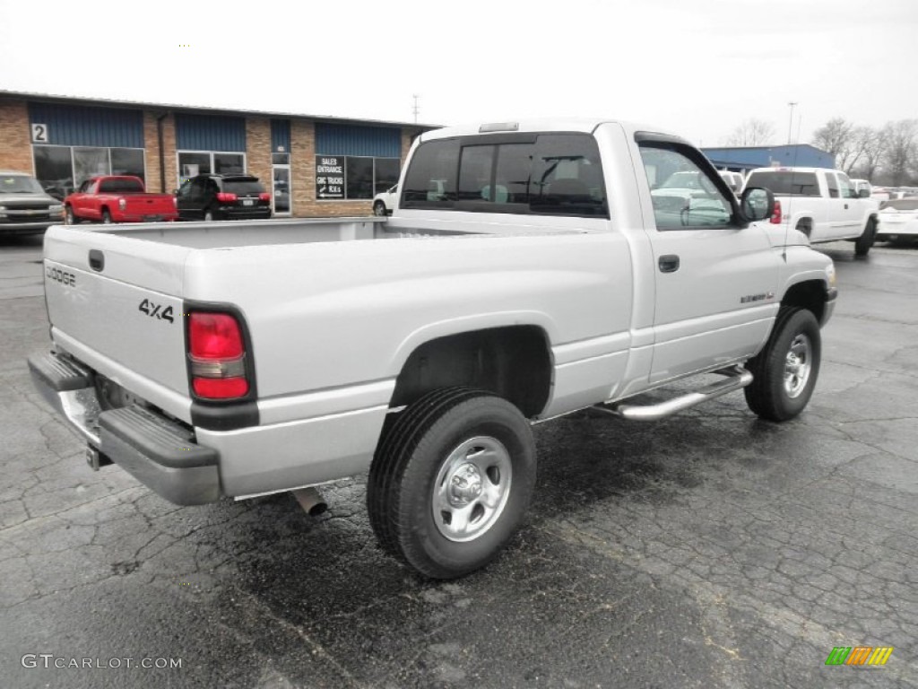 2001 Ram 1500 Regular Cab 4x4 - Bright Silver Metallic / Agate photo #19