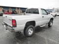 2001 Bright Silver Metallic Dodge Ram 1500 Regular Cab 4x4  photo #19