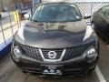 Metallic Bronze 2011 Nissan Juke SV AWD