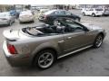 2002 Mineral Grey Metallic Ford Mustang GT Convertible  photo #4