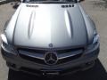 Palladium Silver Metallic - SL 550 Roadster Photo No. 11