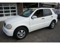 Alabaster White - ML 320 4Matic Photo No. 1