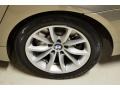 2009 BMW 5 Series 550i Sedan Wheel and Tire Photo