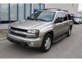 Light Pewter Metallic - TrailBlazer EXT LT 4x4 Photo No. 3
