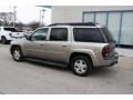 Light Pewter Metallic - TrailBlazer EXT LT 4x4 Photo No. 13