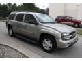 Light Pewter Metallic - TrailBlazer EXT LT 4x4 Photo No. 14