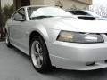 2004 Silver Metallic Ford Mustang GT Coupe  photo #8