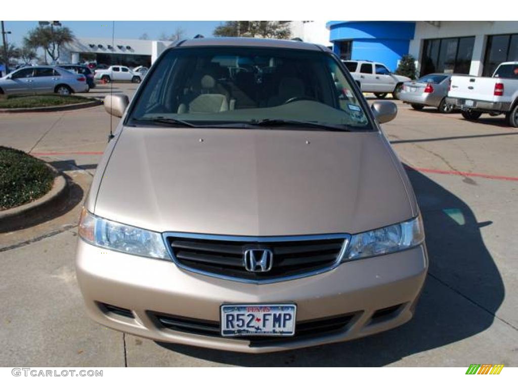 2002 Odyssey EX - Mesa Beige Metallic / Ivory photo #2