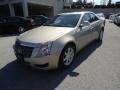 Gold Mist - CTS Sedan Photo No. 2