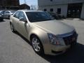 Gold Mist - CTS Sedan Photo No. 4