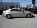 Gold Mist - CTS Sedan Photo No. 5