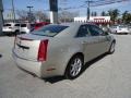 Gold Mist - CTS Sedan Photo No. 6