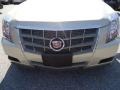 Gold Mist - CTS Sedan Photo No. 48