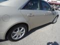 Gold Mist - CTS Sedan Photo No. 51