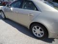 Gold Mist - CTS Sedan Photo No. 52