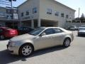 Gold Mist - CTS Sedan Photo No. 53