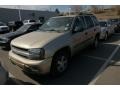 Sandstone Metallic - TrailBlazer LS Photo No. 4