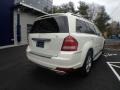 Arctic White - GL 450 4Matic Photo No. 5