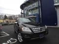 2009 Obsidian Black Metallic Mercedes-Benz ML 350 4Matic  photo #1