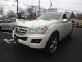 2009 Arctic White Mercedes-Benz ML 350 4Matic  photo #4