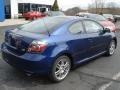 Blue Ribbon Metallic - tC  Photo No. 7