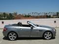 2012 Paladium Silver Metallic Mercedes-Benz SLK 350 Roadster  photo #6