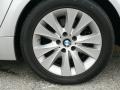 Titanium Silver Metallic - 5 Series 525xi Sedan Photo No. 5